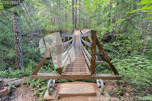 Image of Suspension Bridge Over Falls Creek Front View