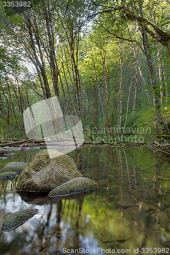 Image of Falls Creek in Gifford Pinchot National Forest