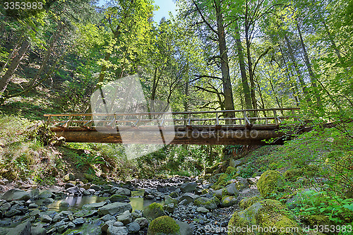 Image of Wood Log Bridge Structure Over Gorton Creek