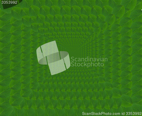 Image of abstract green pattern from leaves