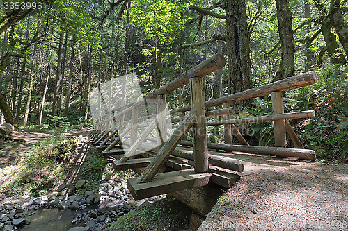 Image of Wood Log Bridge Over Gorton Creek