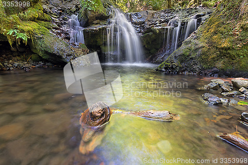 Image of Emerald Falls along Gorton Creek with Driftwood