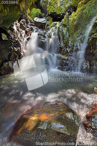 Image of Hidden Waterfall Along Gorton Creek