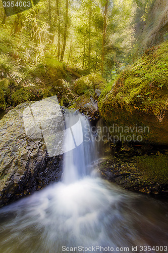 Image of Waterfall along Gorton Creek in the Afternoon