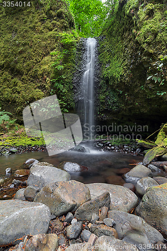 Image of Mossy Grotto Falls