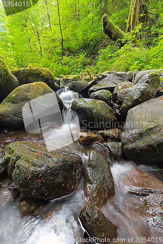 Image of Ruckel Creek in Columbia River Gorge