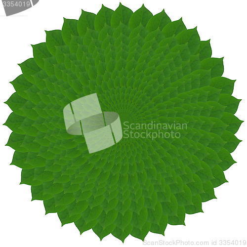Image of Green circle from leaves