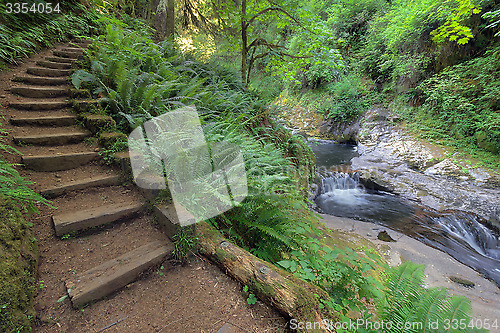 Image of Wood Steps by  Waterfall at Sweet Creek Falls Trail