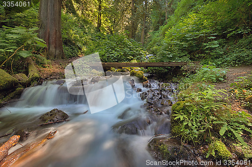 Image of Cascading Waterfall at Wahkeena Canyon Trail