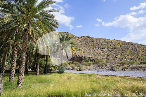 Image of Landscape Oman