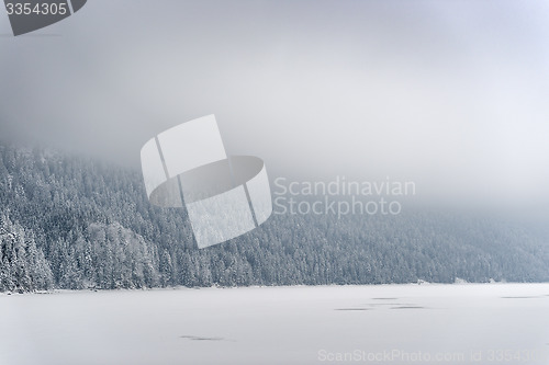 Image of Forest with snow Bavaria