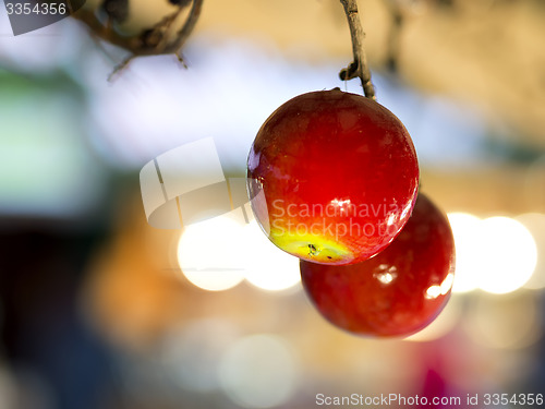 Image of Apple decoration Christmas Market