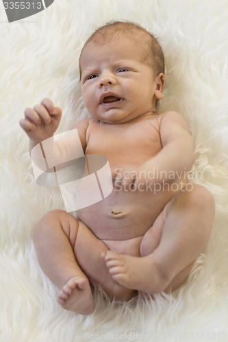 Image of Cute New Born Baby Lying on White Cloth