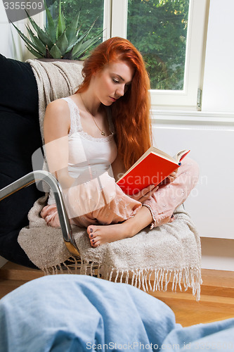 Image of Young Woman Sitting on Chair While Reading a Book