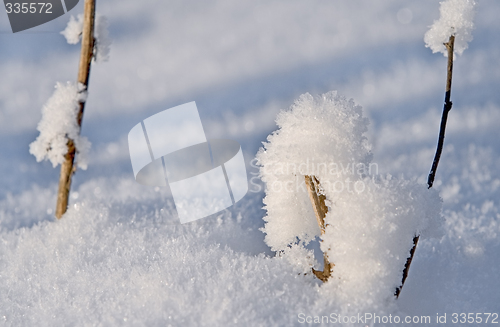 Image of Winter detail