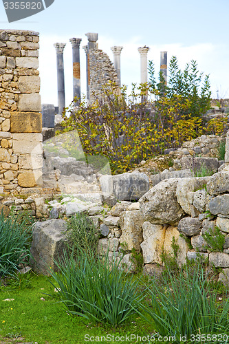 Image of volubilis in morocco africa the  deteriorated monument and site