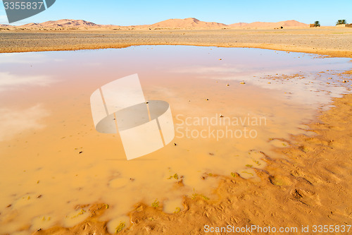 Image of sunshine in  yellow  desert   morocco sand and     dune