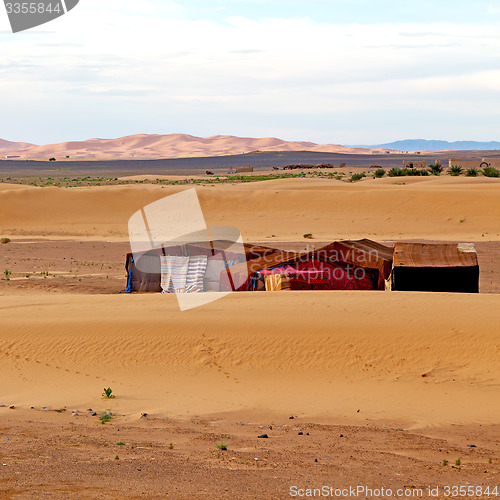 Image of tent in  the desert of morocco sahara and rock  stone    sky