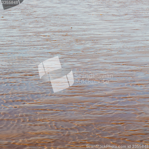 Image of abstract in morocco  sea africa ocean wave and  bird