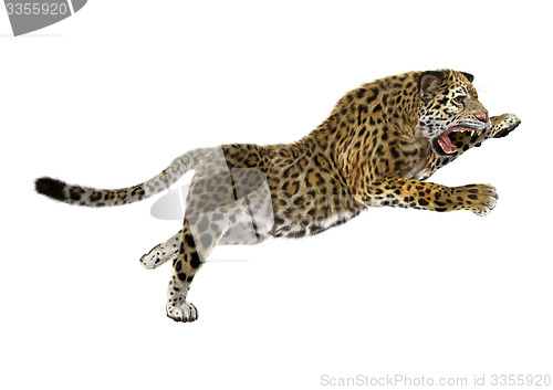 Image of Big Cat Jaguar