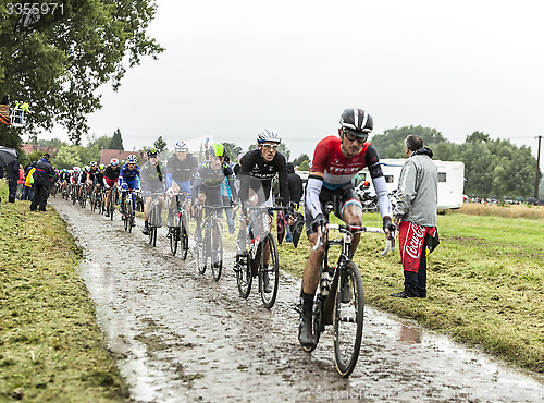 Image of The Peloton on a Cobbled Road- Tour de France 2014