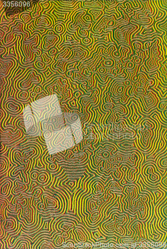 Image of Tricolor