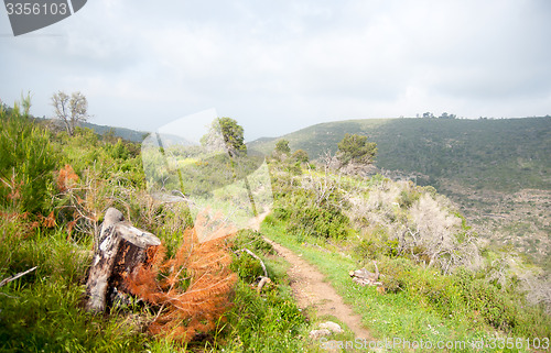 Image of Spring season landscape