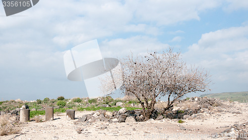 Image of Ruins in Susita national park