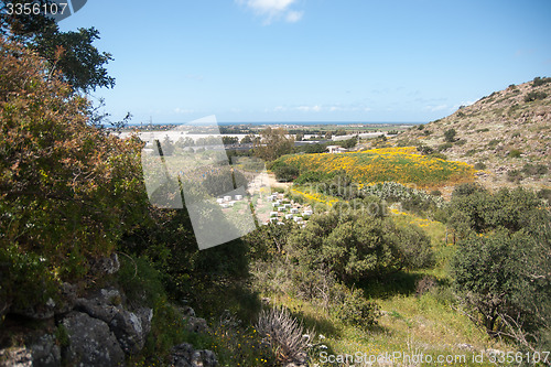 Image of Spring season landscape