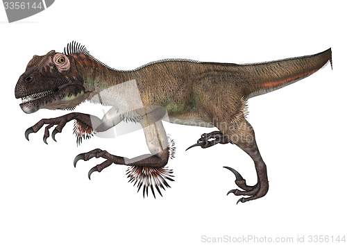 Image of Dinosaur Utahraptor