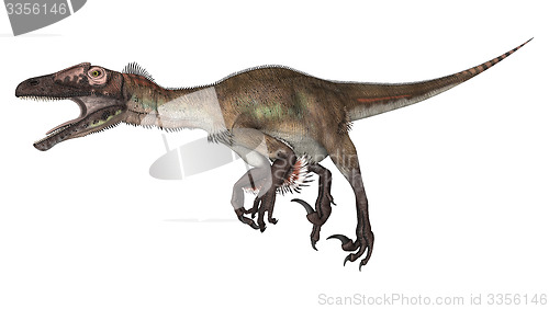 Image of Dinosaur Utahraptor