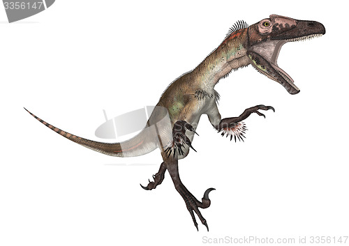 Image of Dinosaur Utahraptor