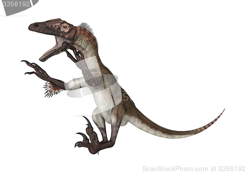 Image of Dinosaur Utahraptor