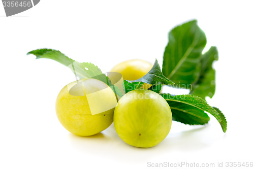 Image of Small yellow plums.