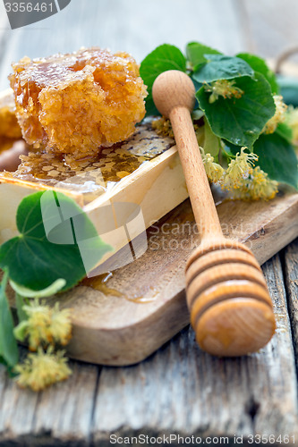 Image of Flowers of lime and honey in the comb.