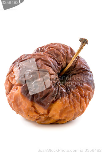 Image of Wrinkled rotten apple.