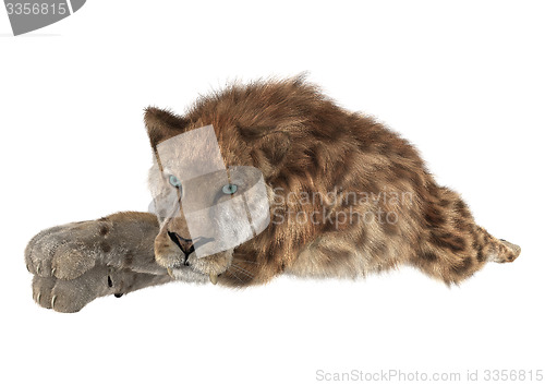 Image of Big Cat Smilodon