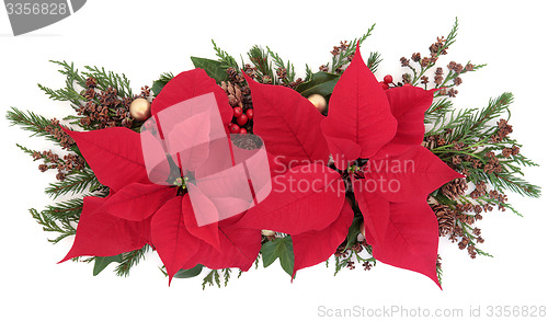 Image of Poinsettia Flower Display