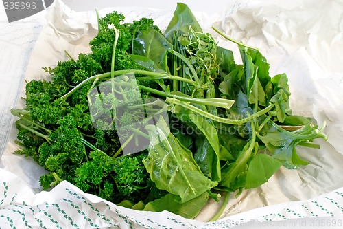 Image of Delicious herbs