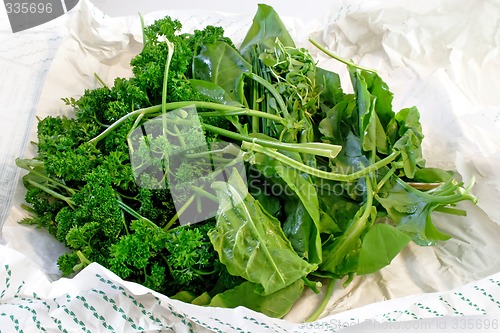 Image of Delicious herbs