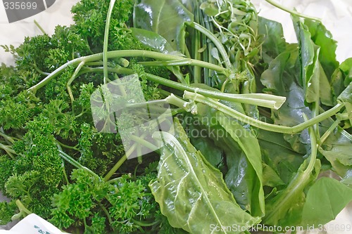 Image of Fresh Herbs