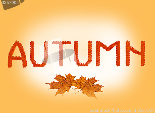 Image of inscription Autumn on the autumn leaves