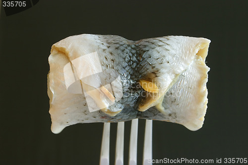 Image of Rolled pickled herring