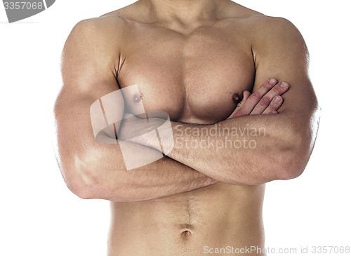 Image of Muscular body