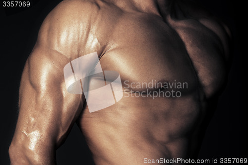 Image of Body of muscular man