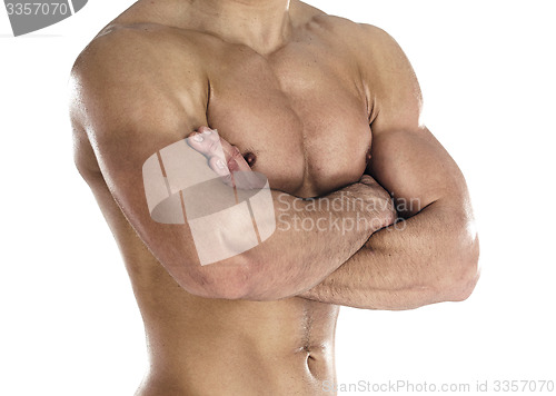 Image of Muscular body