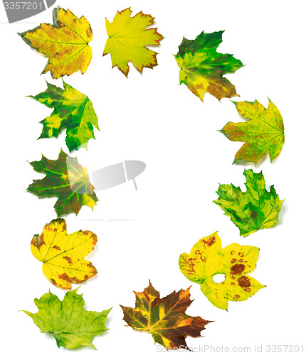 Image of Letter D composed of maple leafs