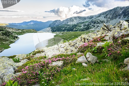 Image of Mountain lake Bucura, in Retezat, Romania, Europe