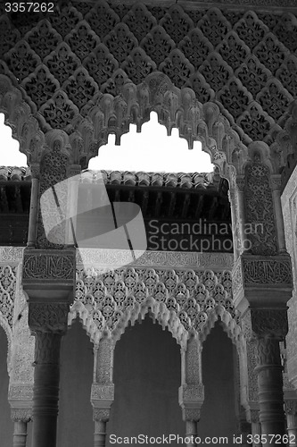 Image of Lion courtyard columns in black and white