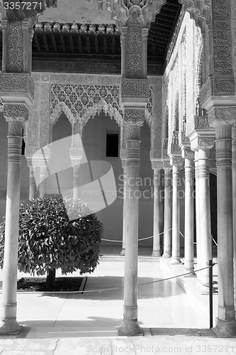 Image of Columns in black and white